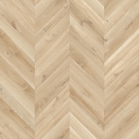 Dynamic Hongaarse Punt