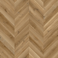 Dynamic Hongaarse Punt