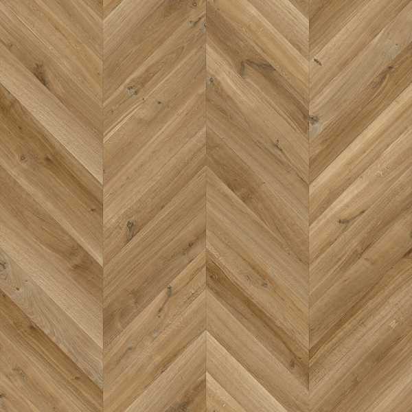 Dynamic Hongaarse Punt