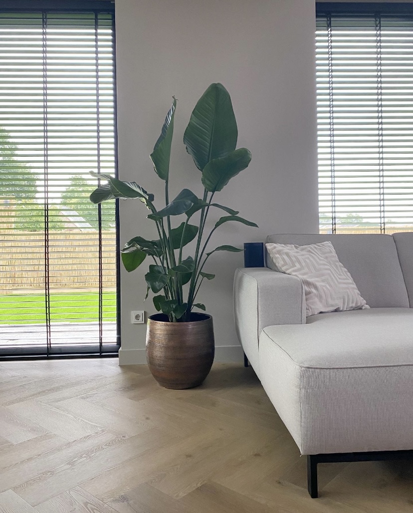 Sfeervolle woning in Staphorst, is het geen plaatje?