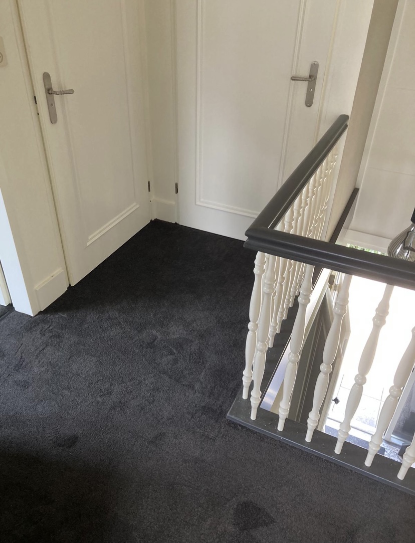 Mooie pvc vloer en tapijt mogen leggen bij Fam Ernsten