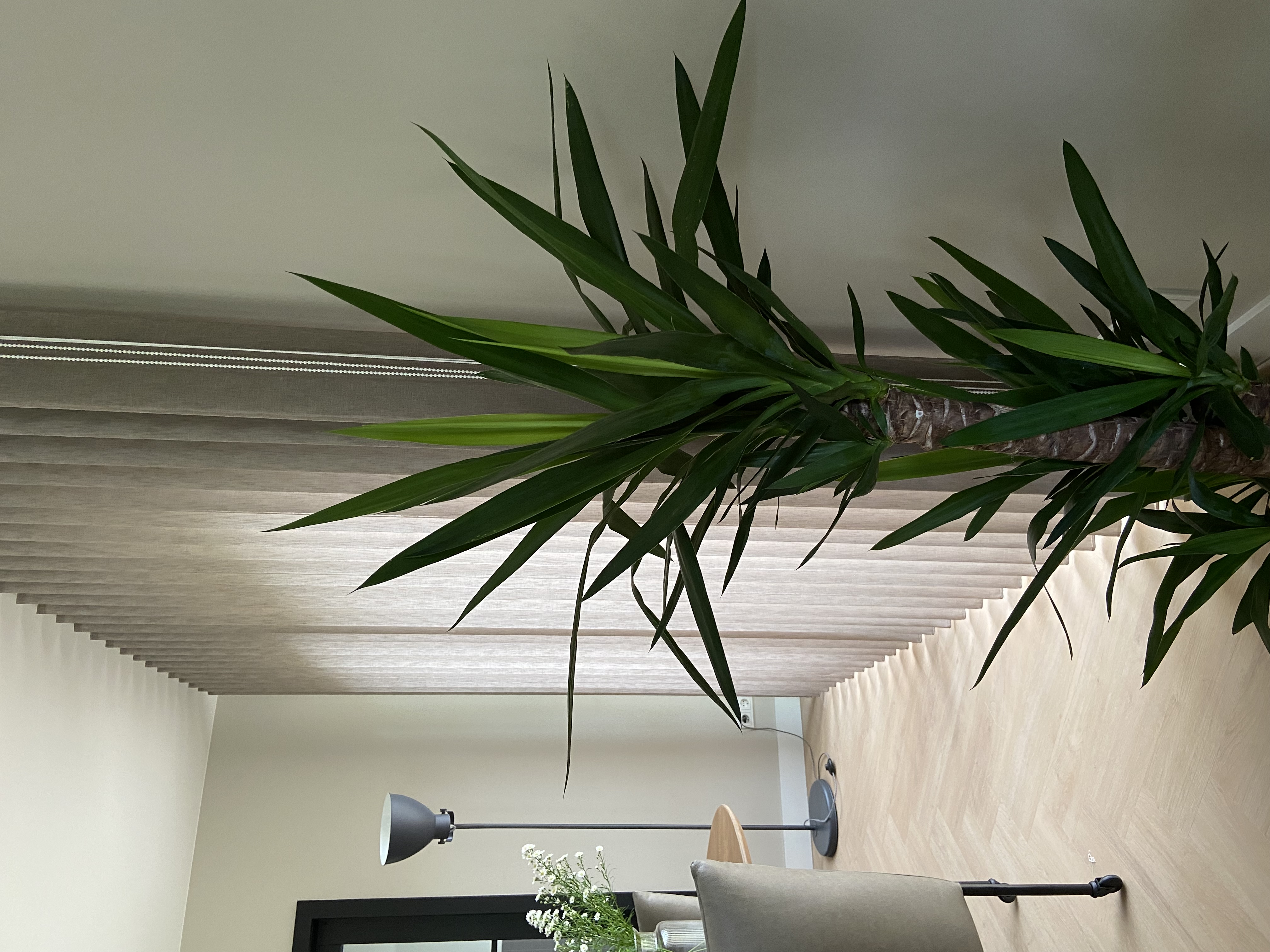 Versus gordijnen van Toppoint