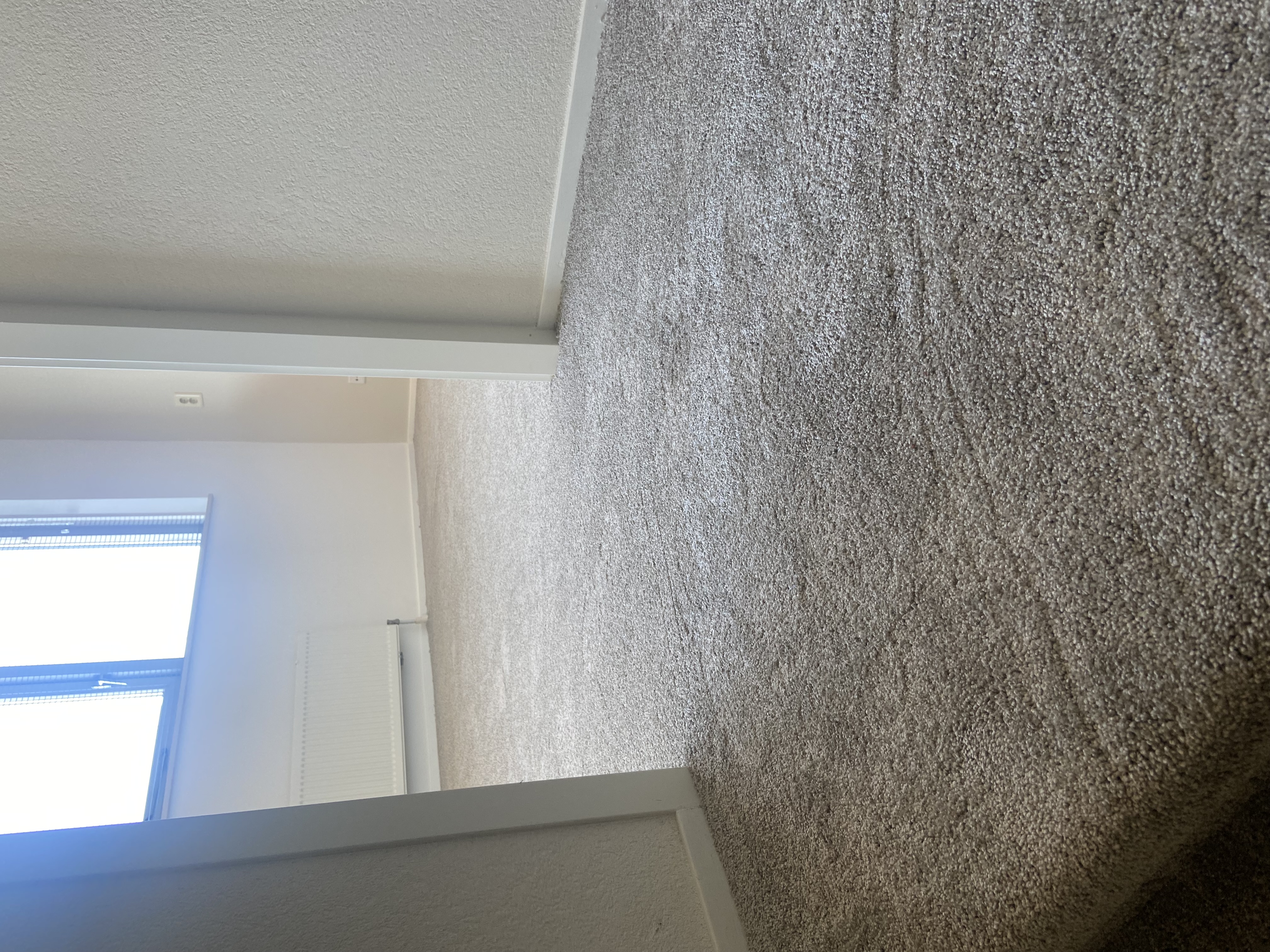 Bovenverdieping & trap gestoffeerd met tapijt