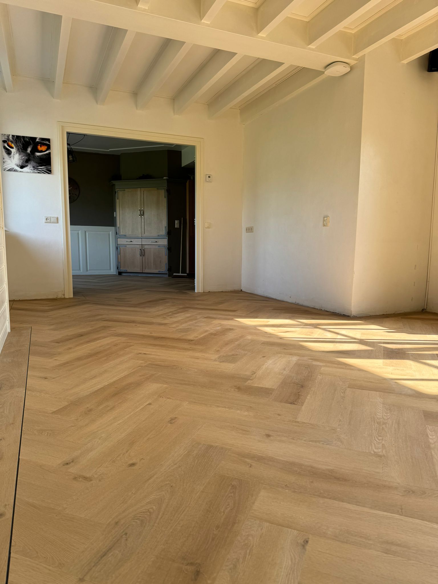 Pvc visgraat vloer met band en bies