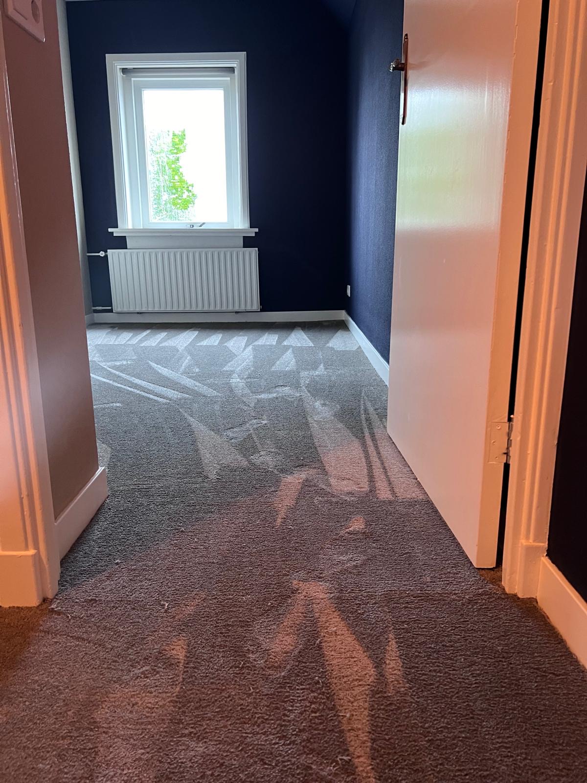 Bovenverdieping tapijt in Hasselt