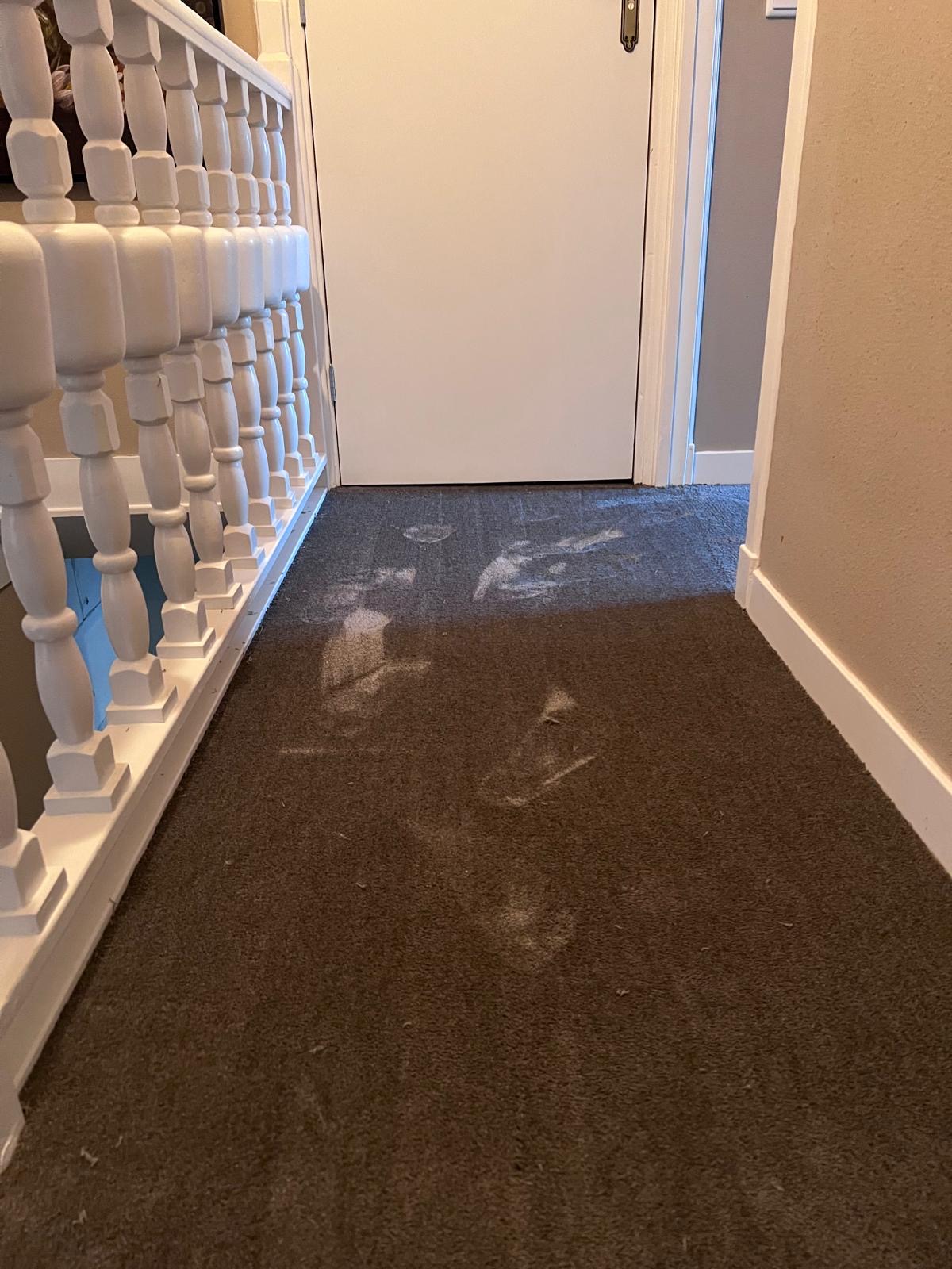 Bovenverdieping tapijt in Hasselt