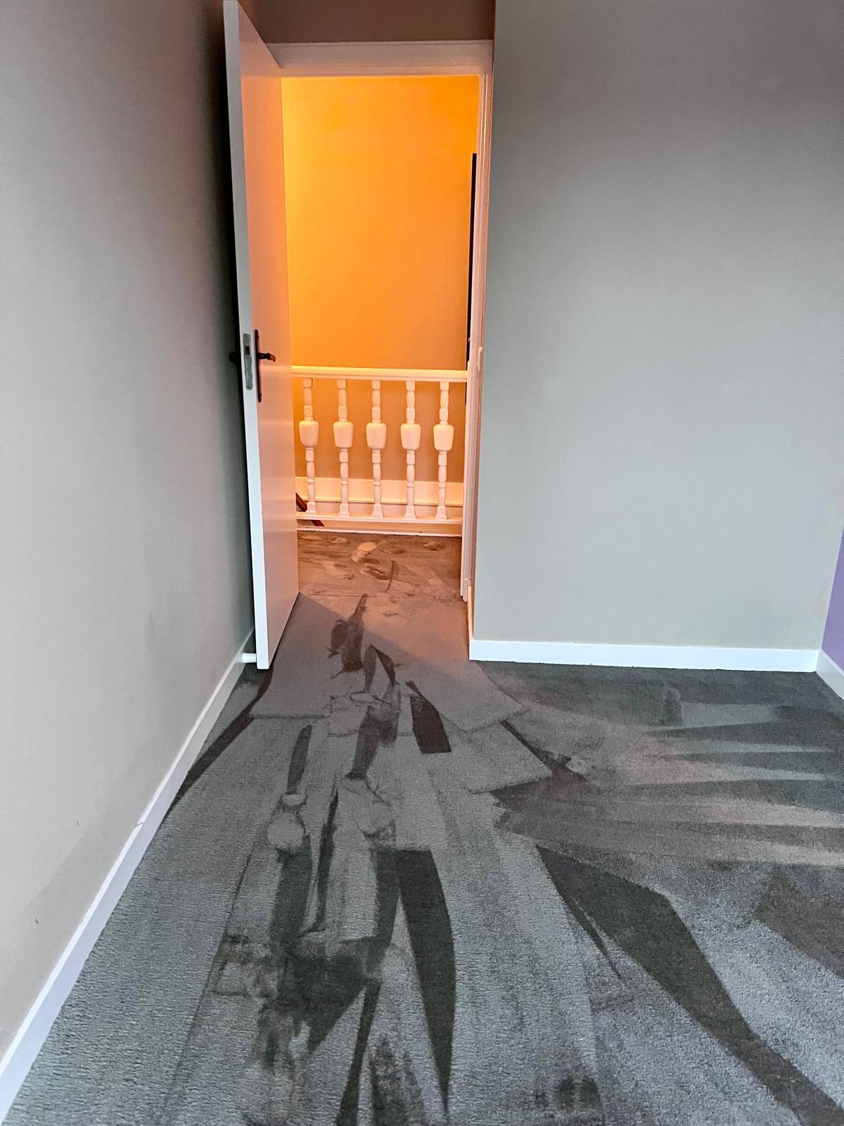 Bovenverdieping tapijt in Hasselt