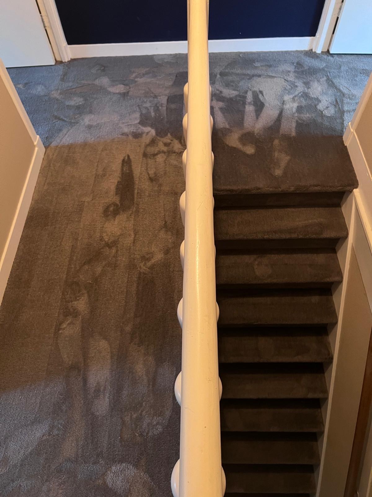 Bovenverdieping tapijt in Hasselt