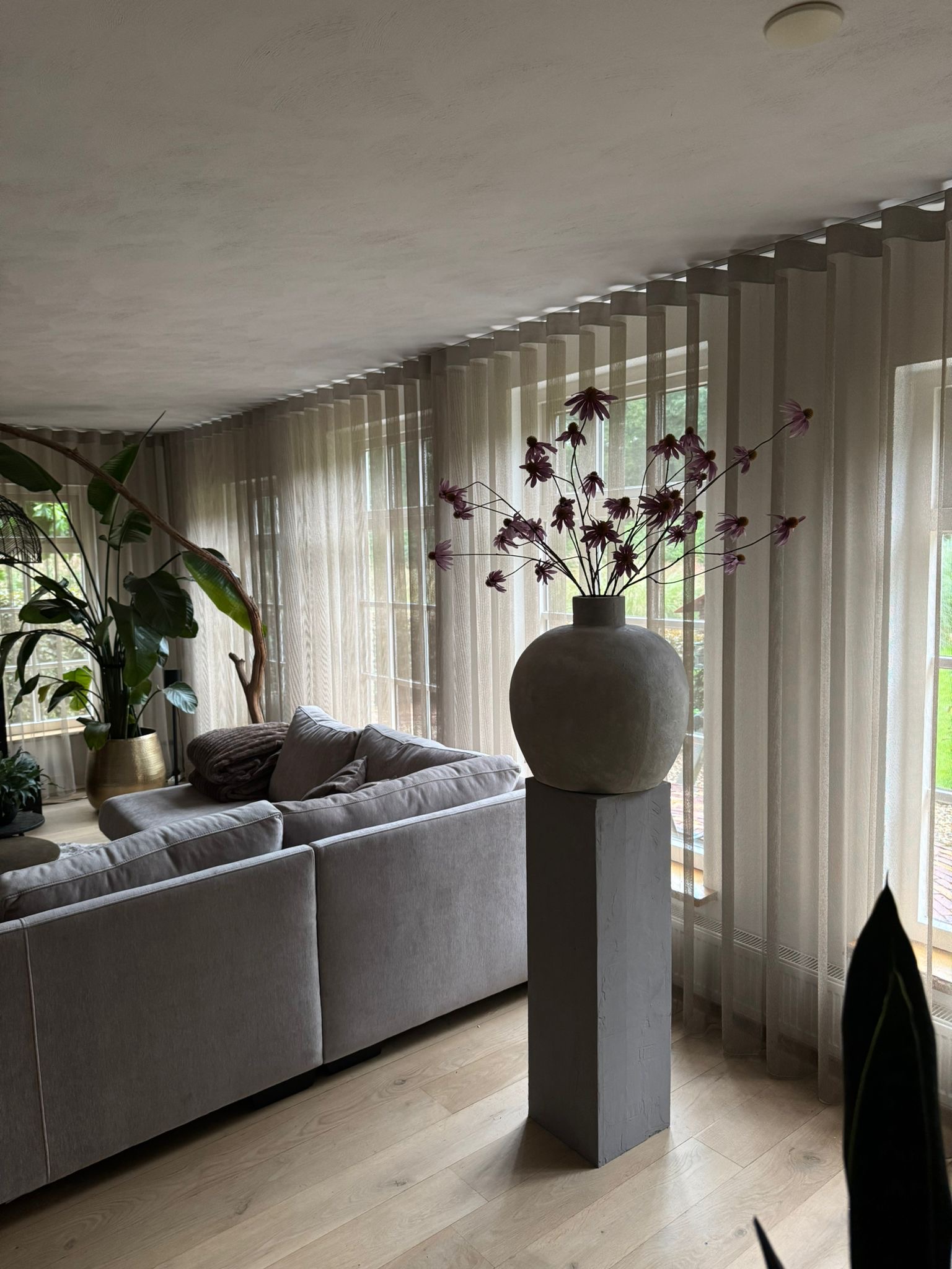 Is het geen plaatje?