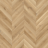 Dynamic Hongaarse Punt