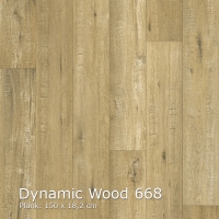 Dynamic Wood