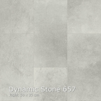 Dynamic Stone